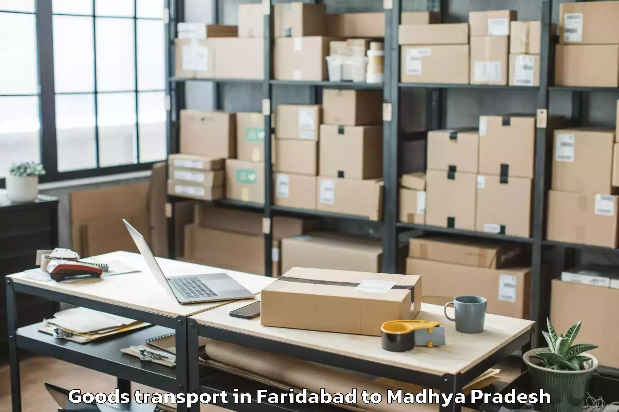 Professional Faridabad to Majhauli Goods Transport